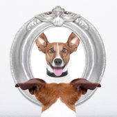 Orsoladvoup's Avatar